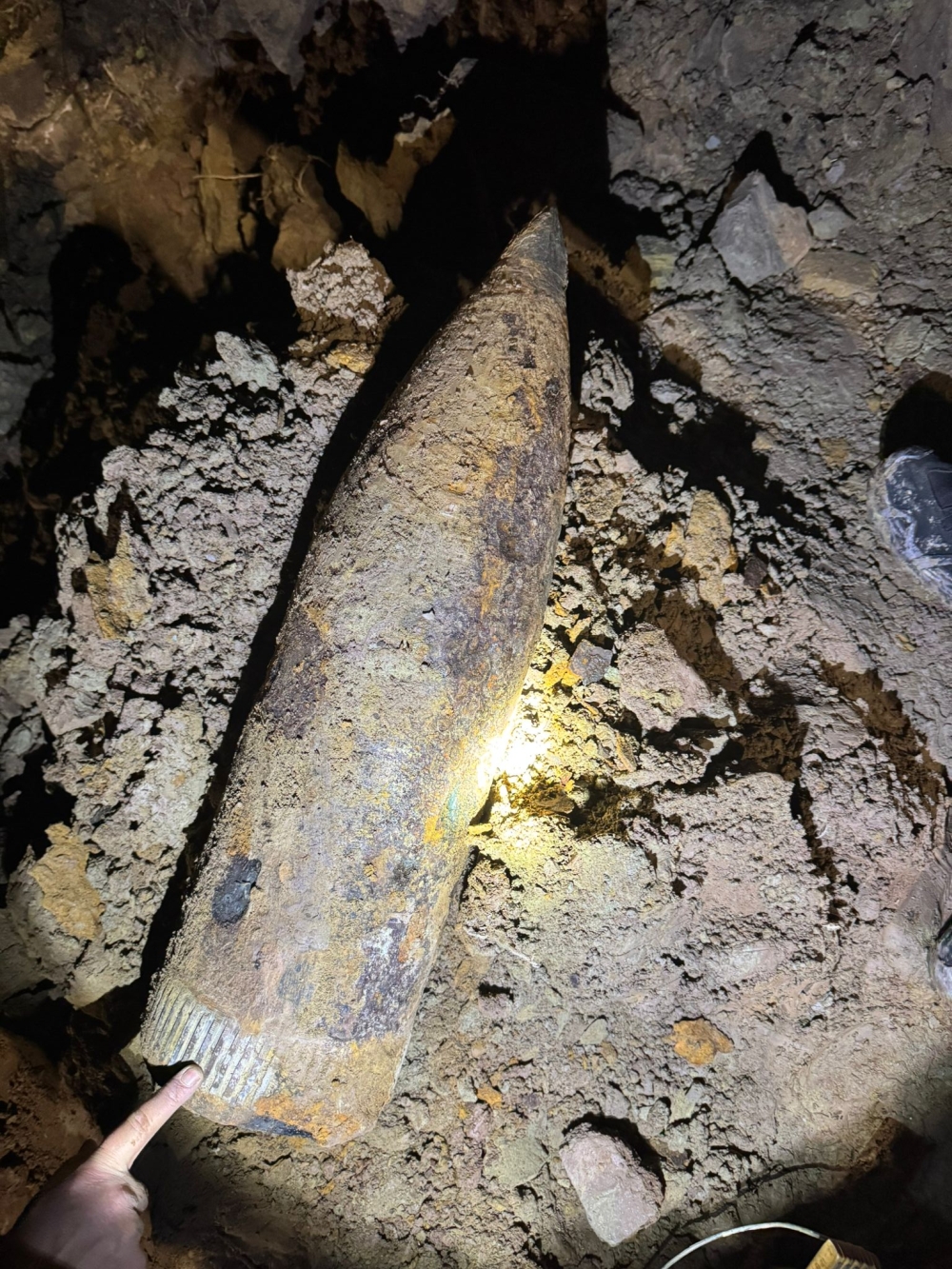 Freilegung von Verdachtspunkten